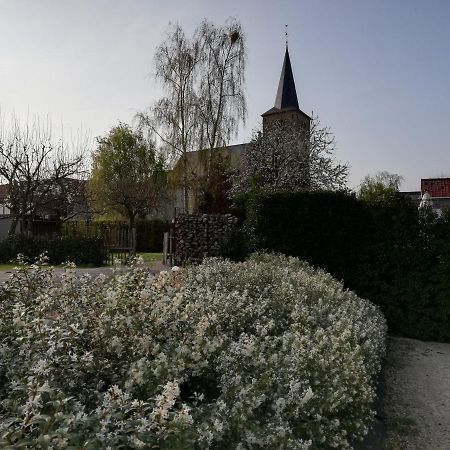 B&B 'T Huys Van Enaeme Уденарде Екстериор снимка